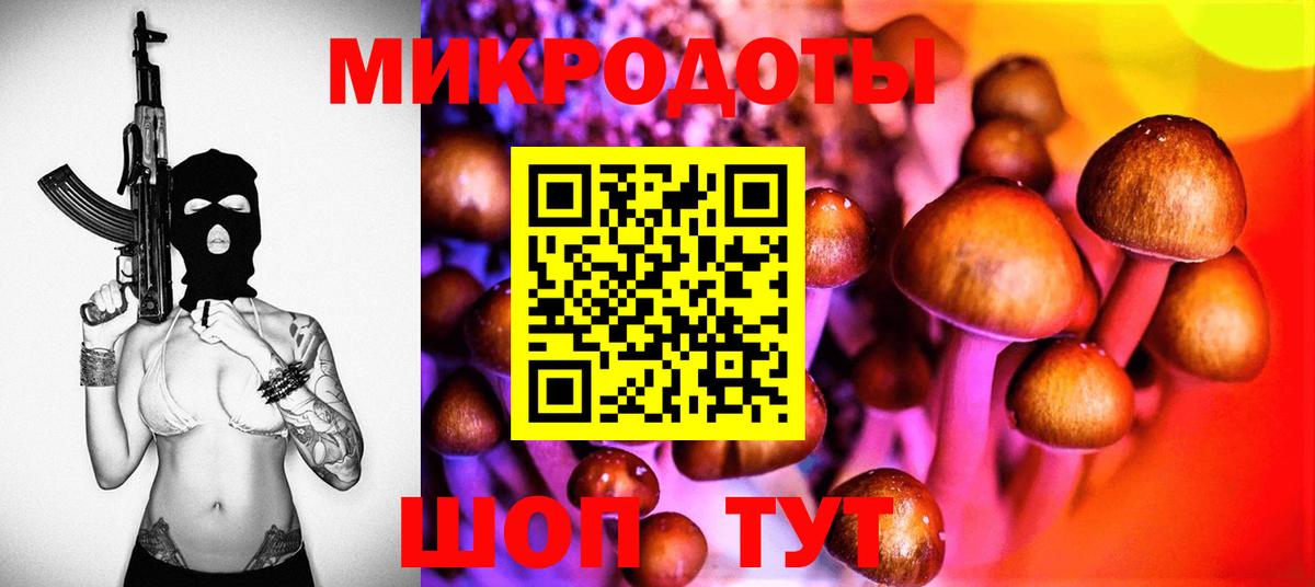 Елец  Галлюциногенные грибы MAGIC MUSHROOMS  Псилоцибиновые грибы мицелий  Вход с VPN 